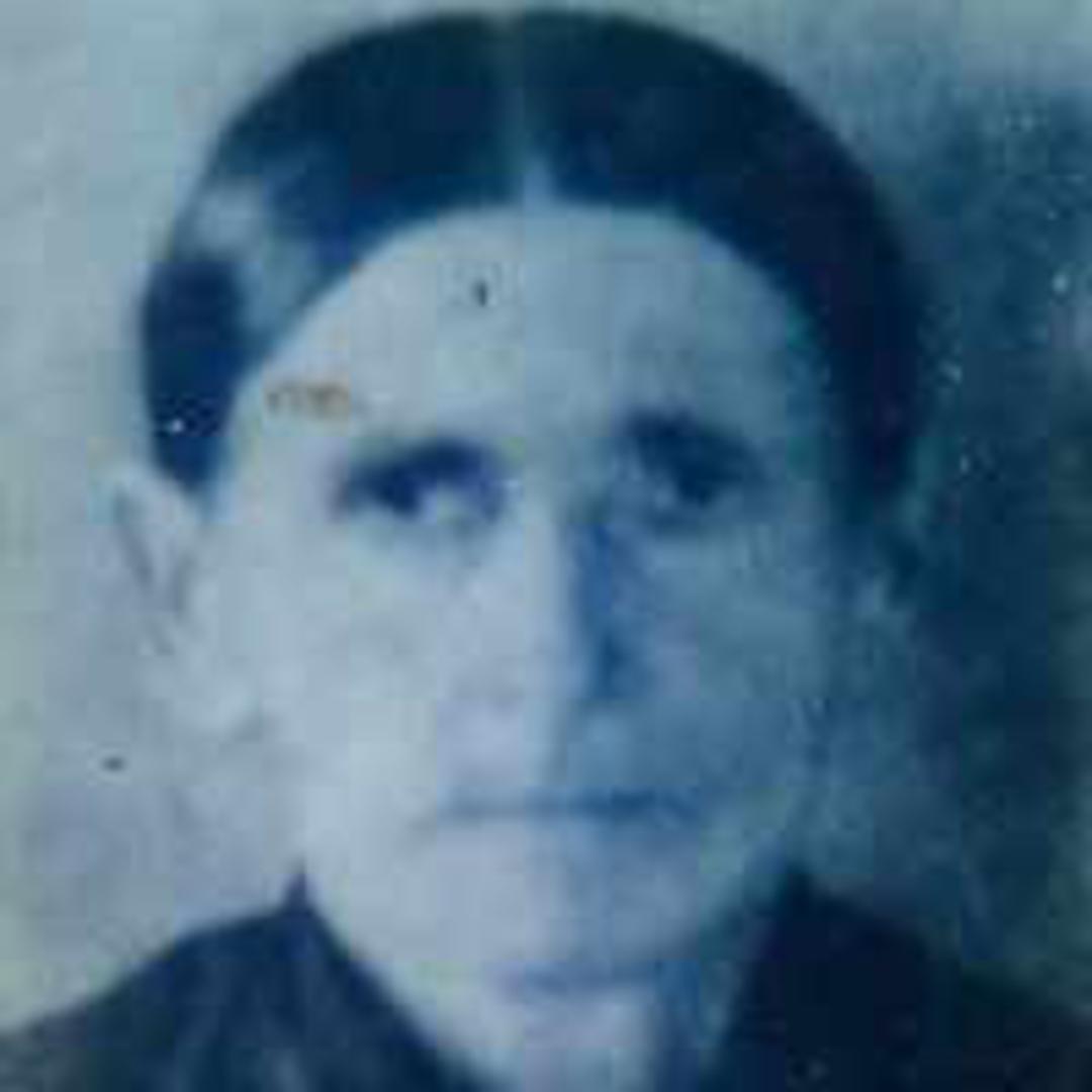 Anna Marie Ruopp (1839 - 1901) Profile